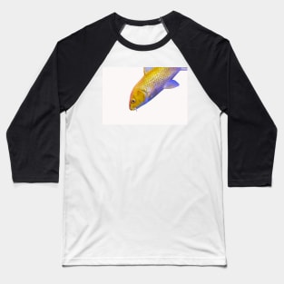 Golden yellow Ogon Koi carp fish Baseball T-Shirt